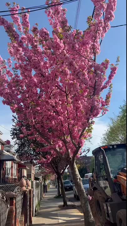 spring vibe