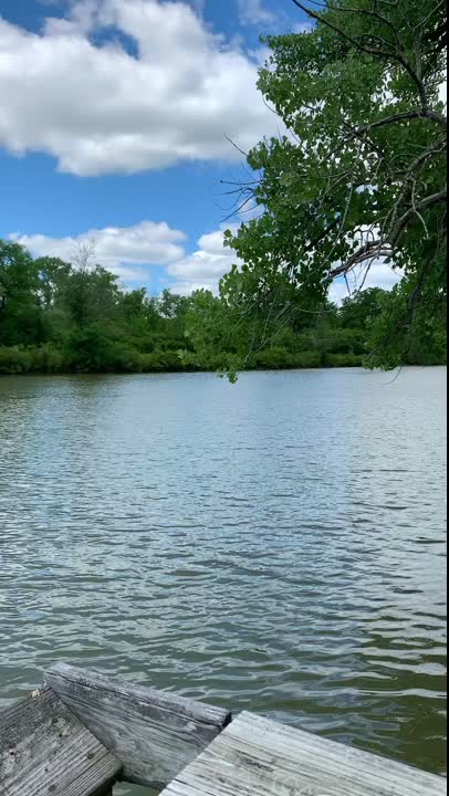 paused at a beautiful resting place when biking along the erie canal in rochester (2022). hope to do this again someday 🙂‍↕️