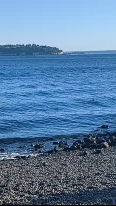 The beauty of the Salish Sea

#momentofzen #Seattle