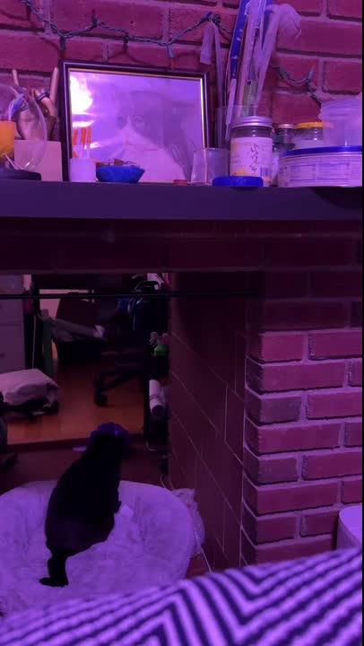he’s working late cuz he’s a puma